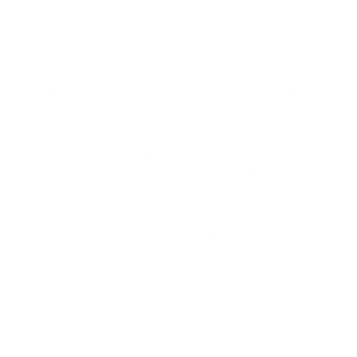 flaticon_chicken_w