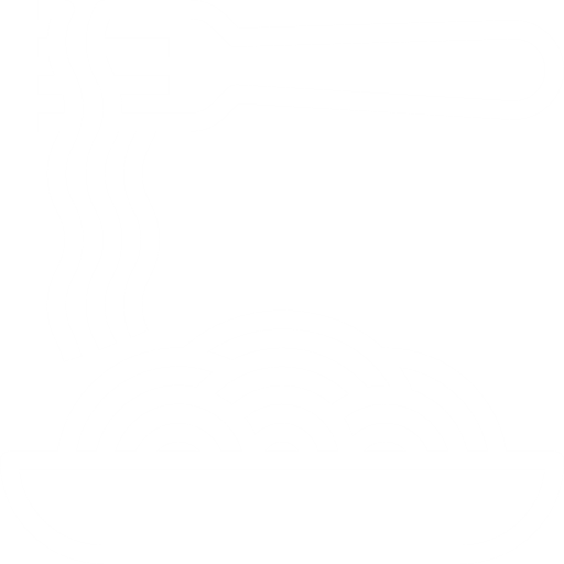 flaticon_spaguetti_w